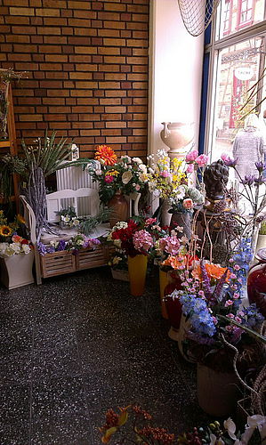 IMG-20150910-WA0017